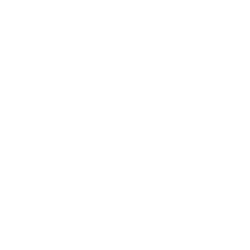 aligner icon